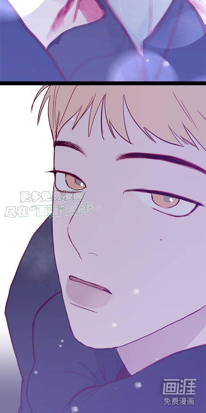 第4章：选择