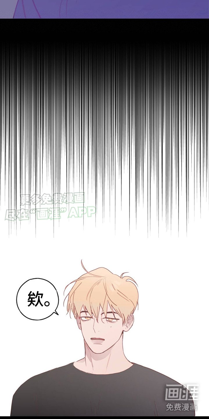 第4章：选择