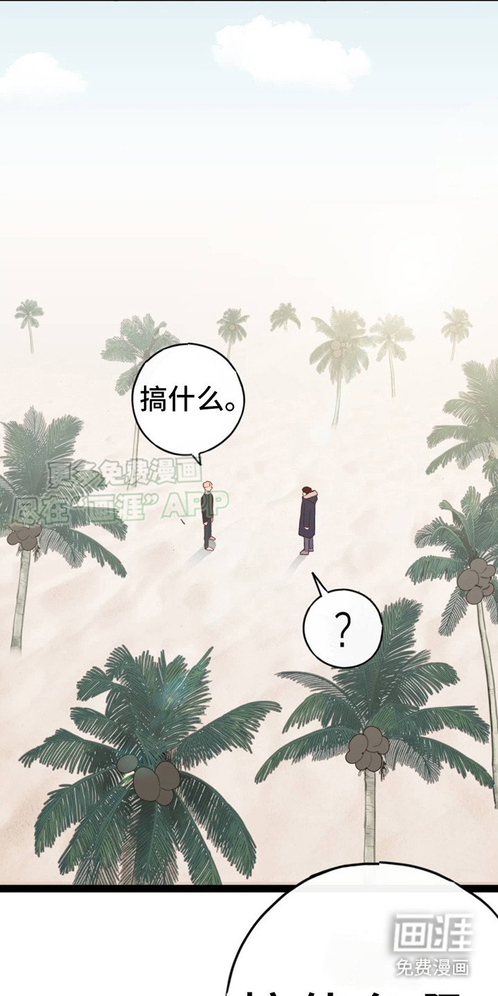 第4章：选择