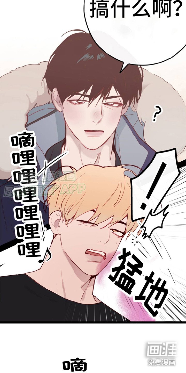 第4章：选择