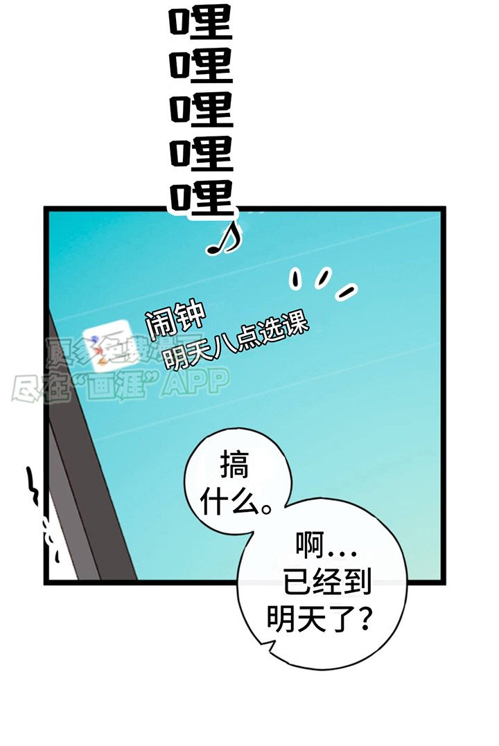 第4章：选择