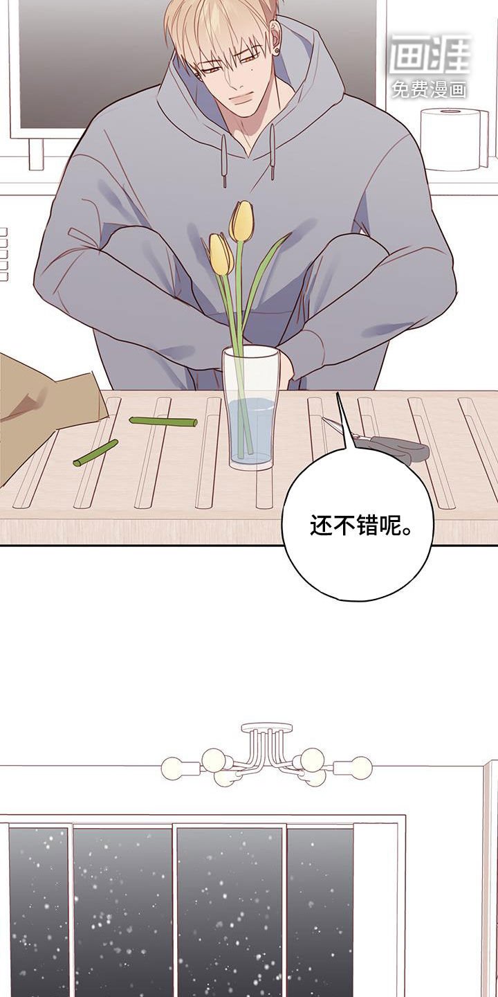 第46章：心意