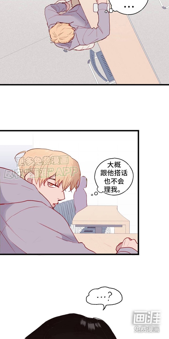第5章：游乐园