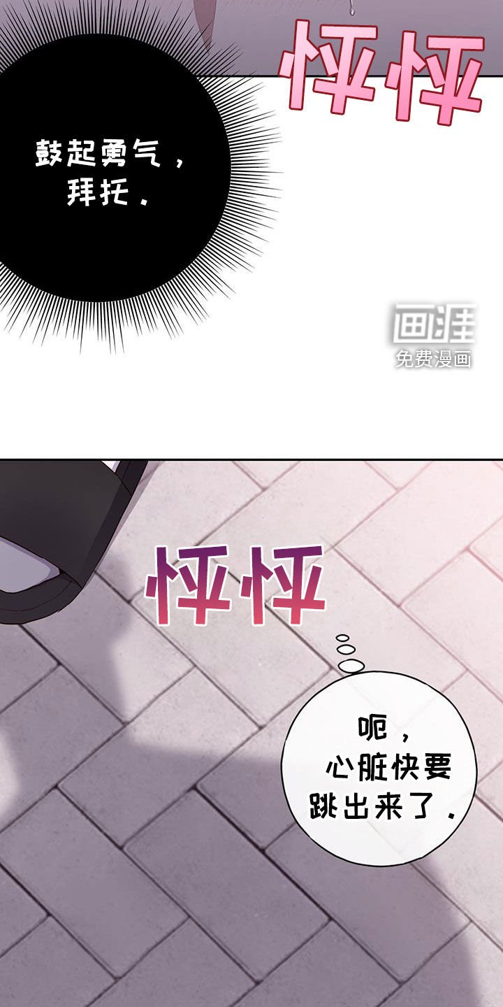 第52章：庆生