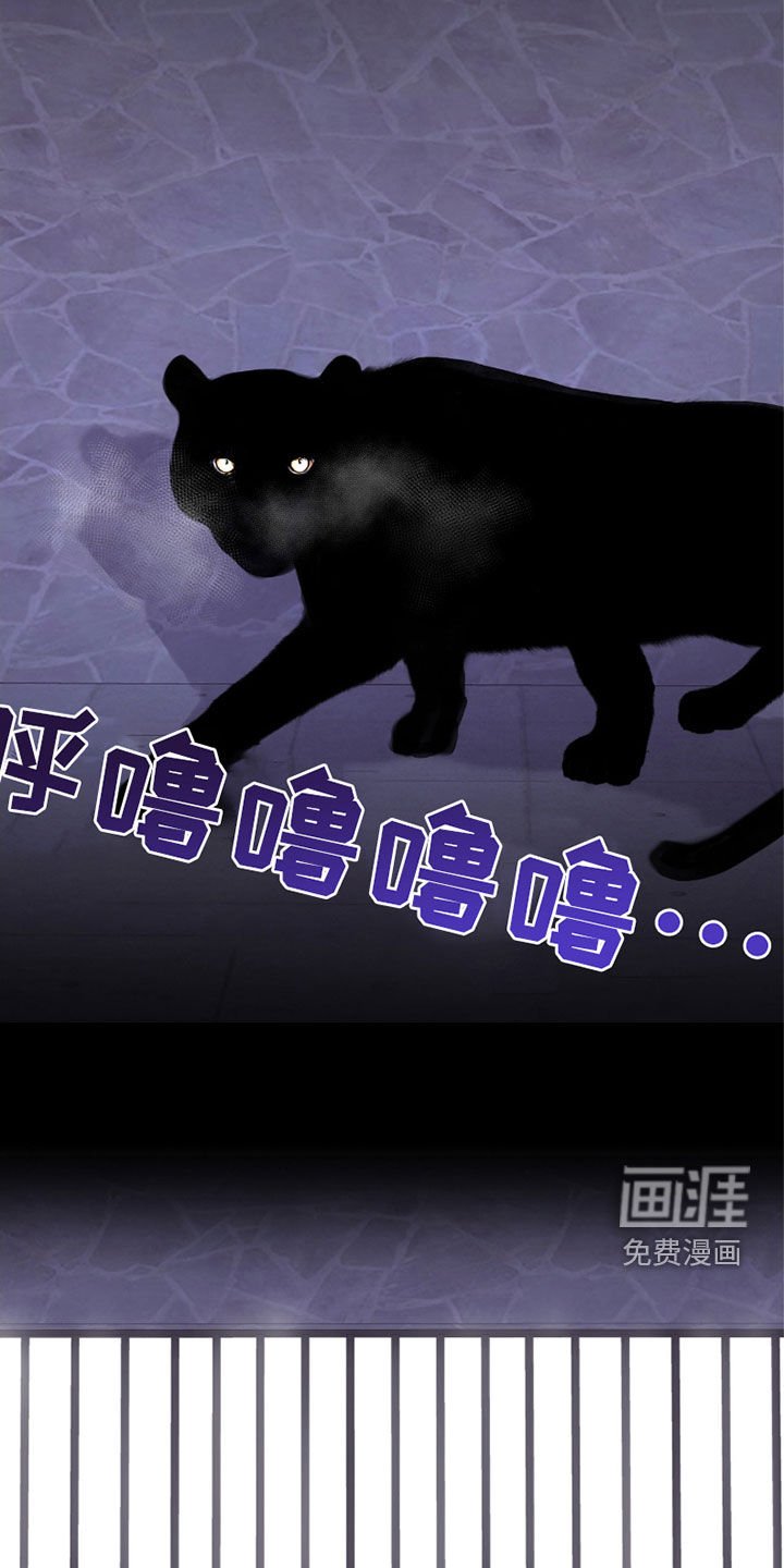 第61章：我什么都会