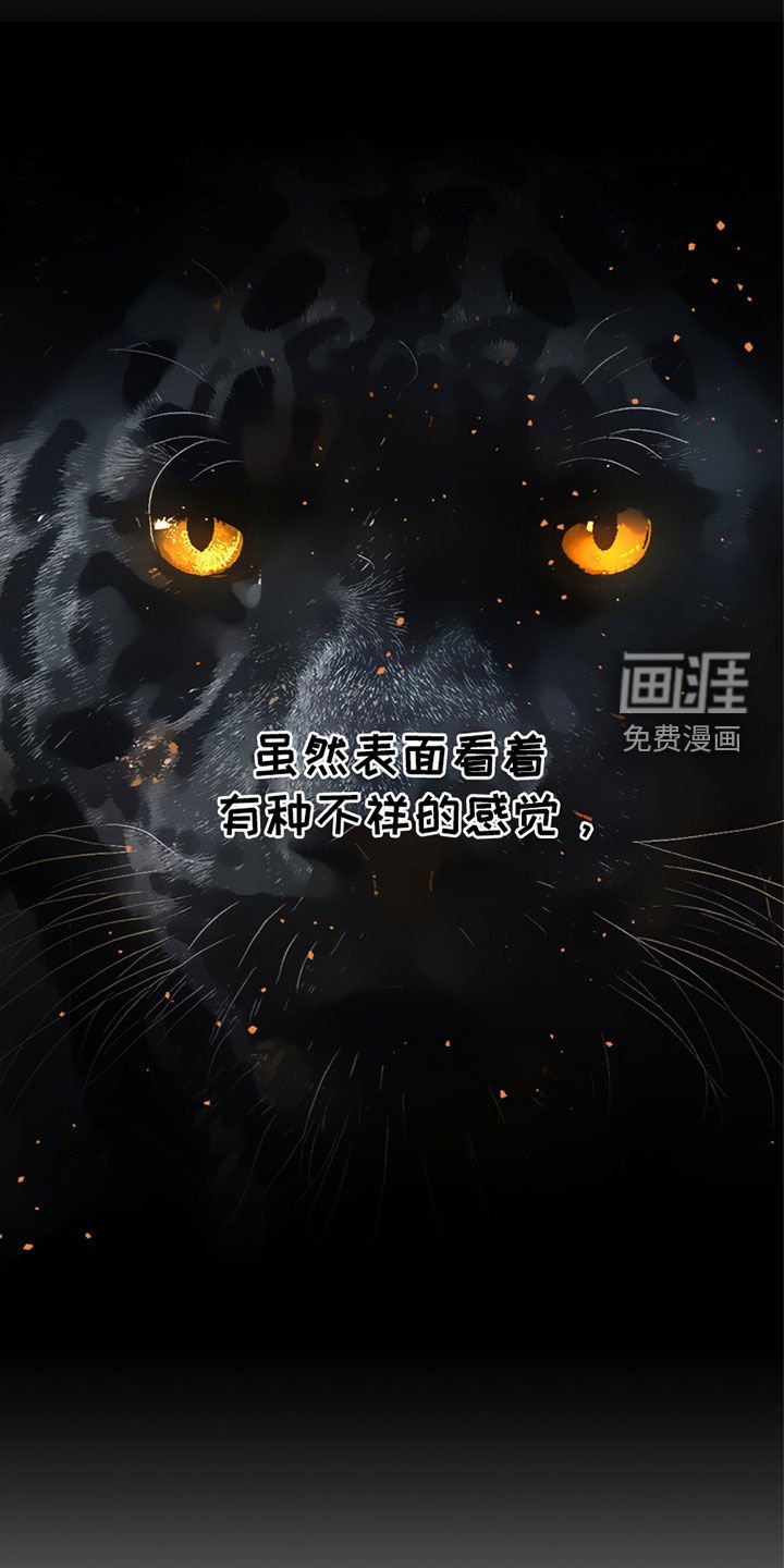 第61章：我什么都会