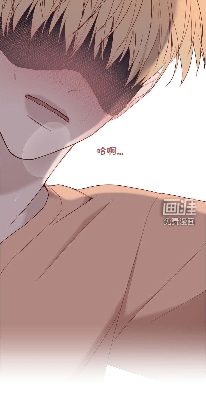 第66章：可怜的家伙