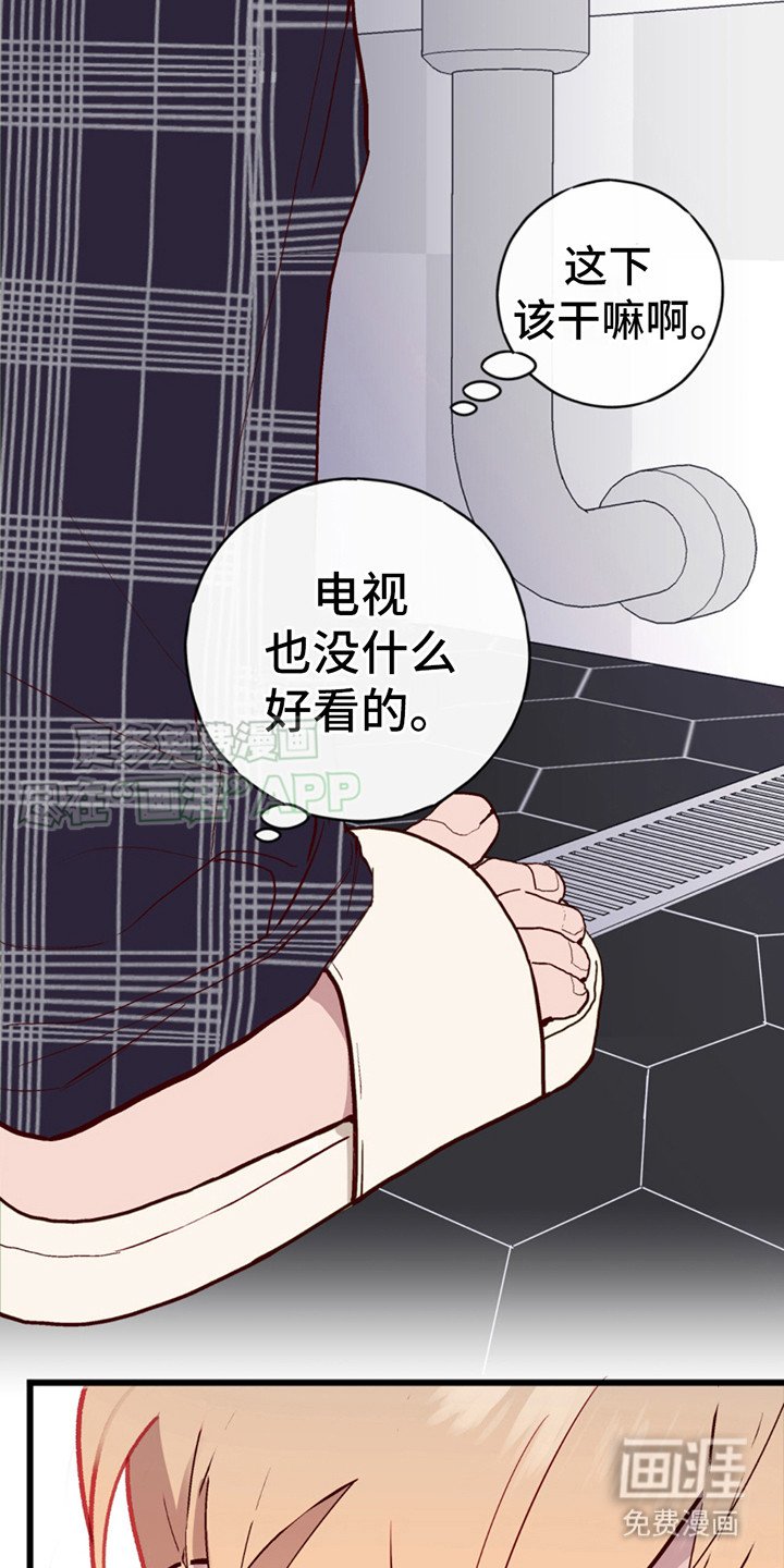 第8章：提议