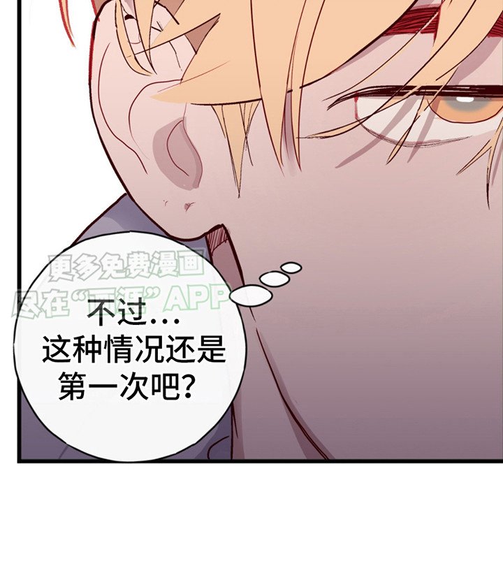 第8章：提议