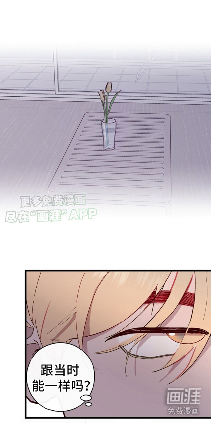 第8章：提议