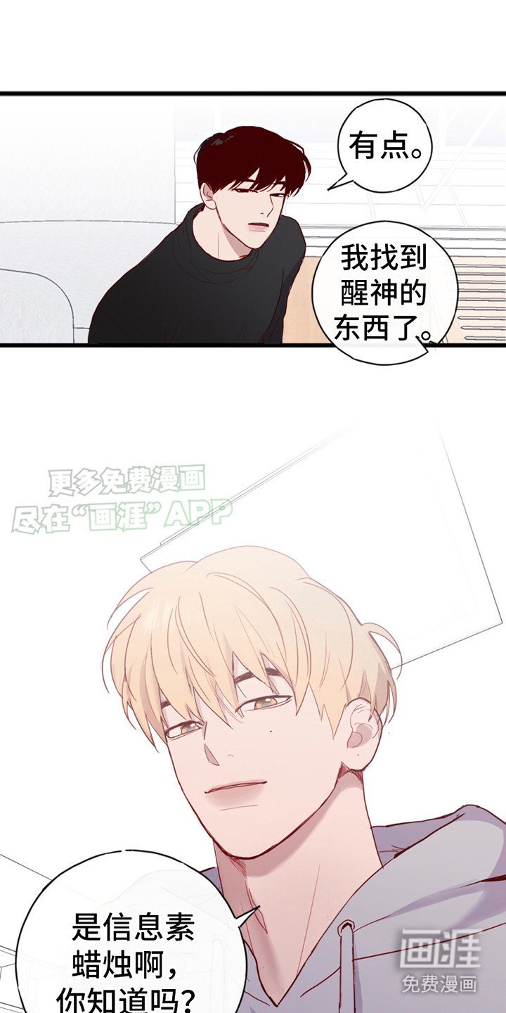 第8章：提议