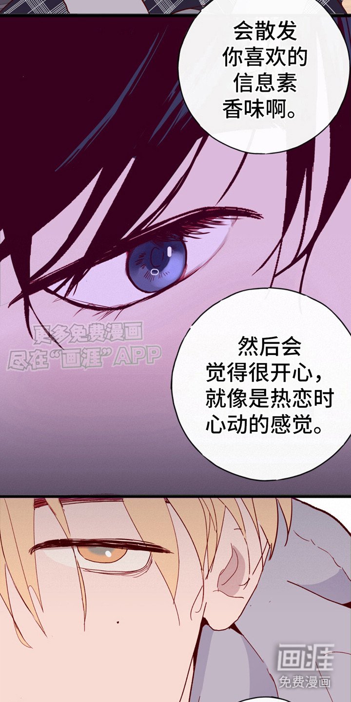 第8章：提议