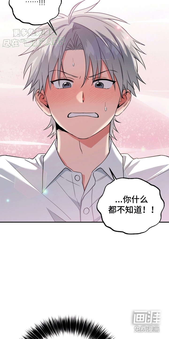 第13章：谈判
