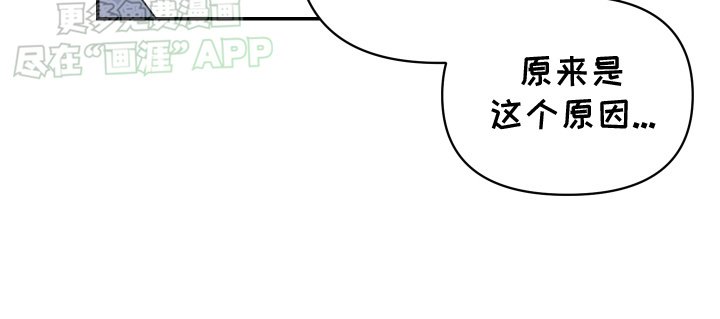 第13章：谈判