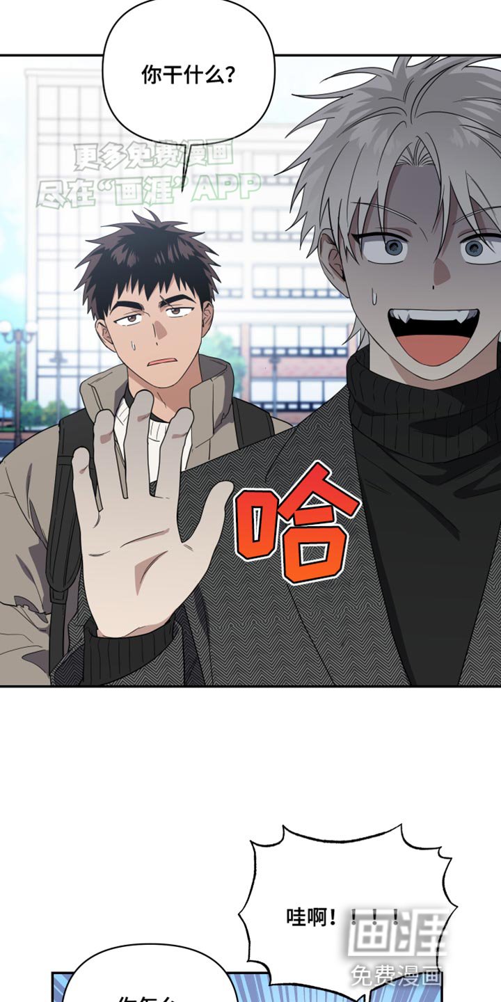 第26章：做客的关系