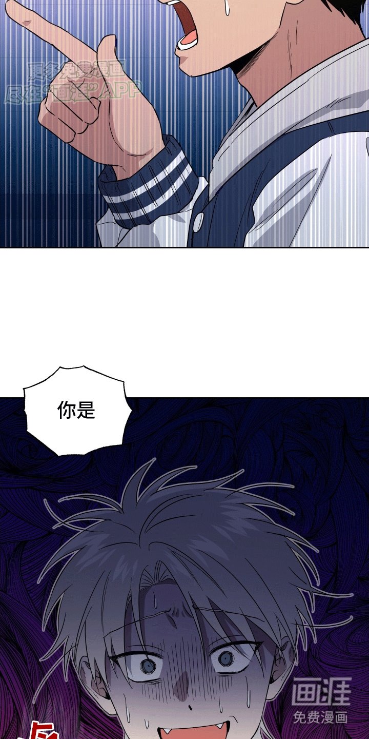 第3章：碰面