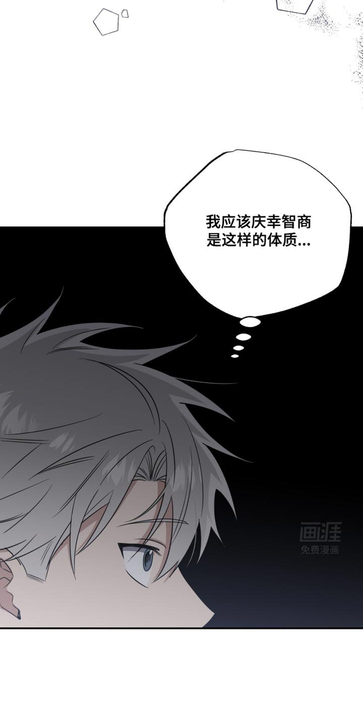 第41章：我是你需要的人