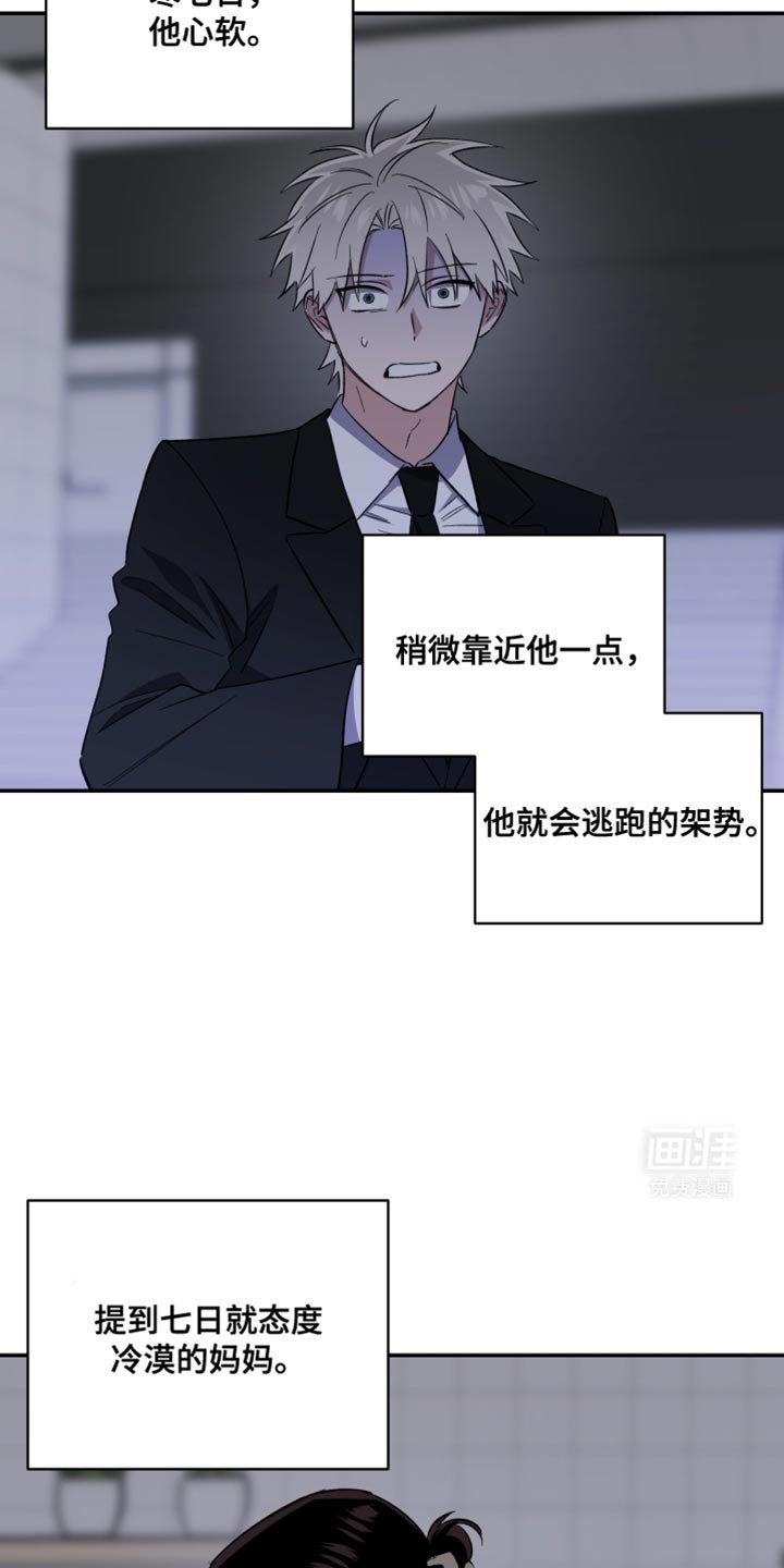 第44章：必须这么做
