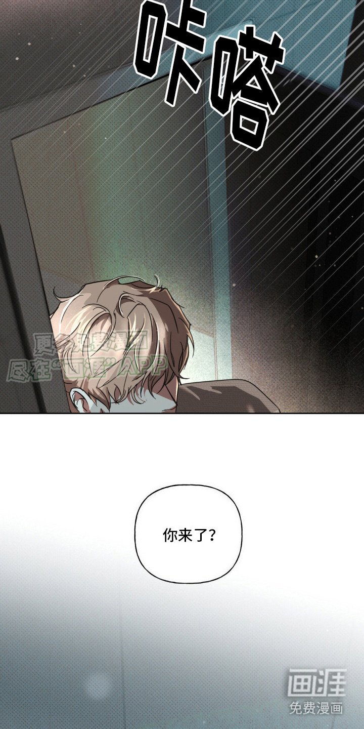 第12章：可惜了