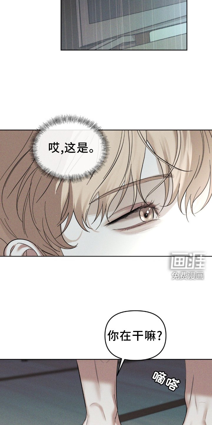 第30章：机会