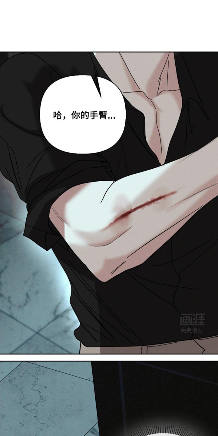 第44章：固执的家伙