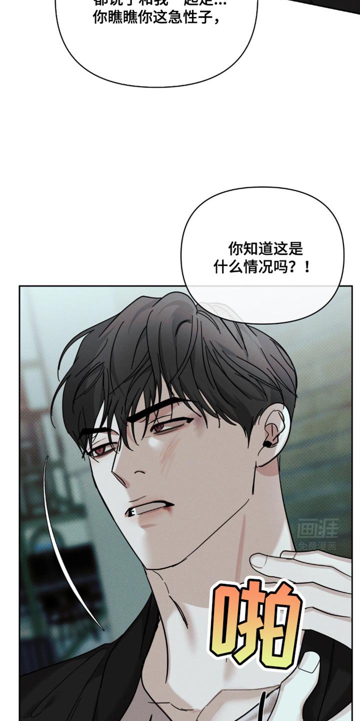 第44章：固执的家伙