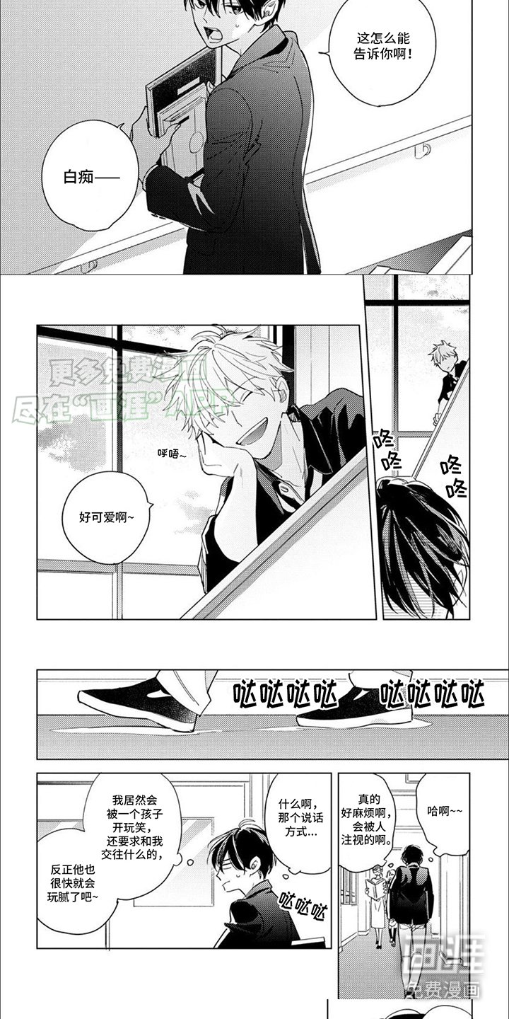 第5章：引人注目