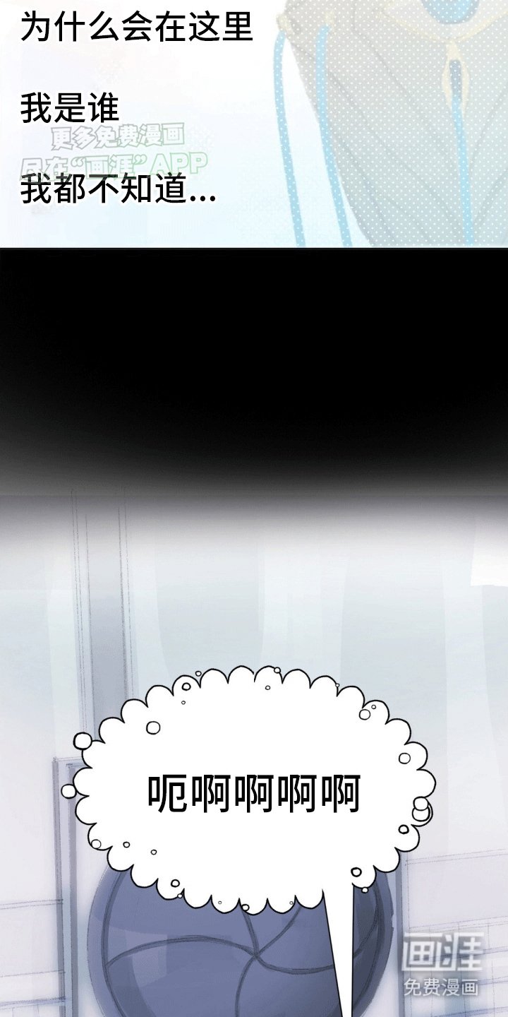 第11章：他们的曾经