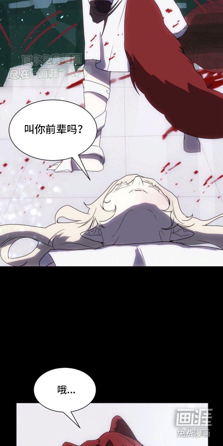 第11章：他们的曾经