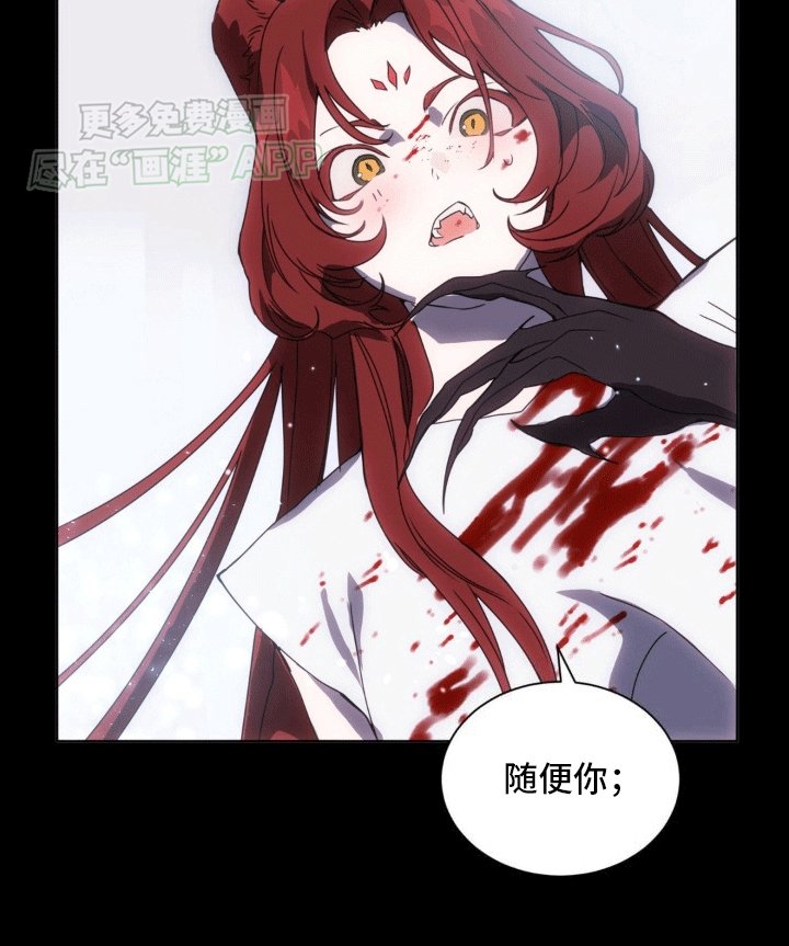 第11章：他们的曾经