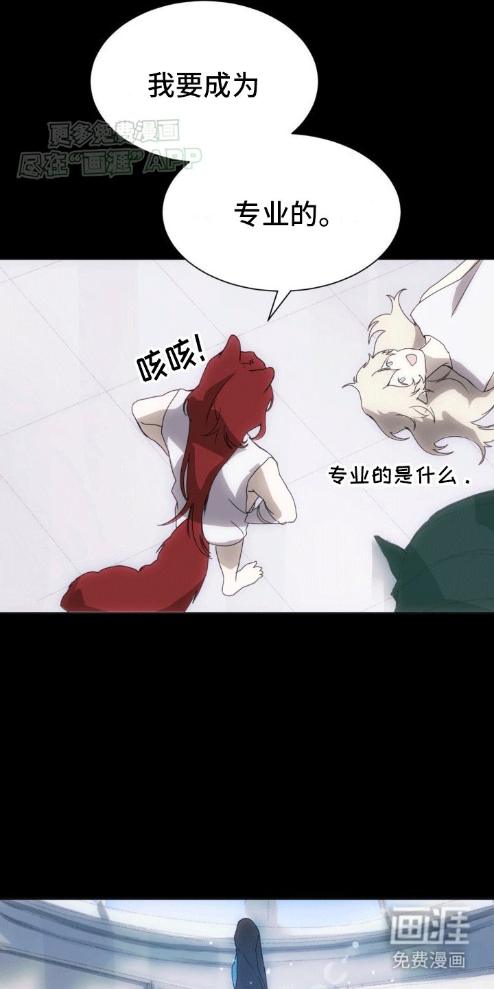 第11章：他们的曾经