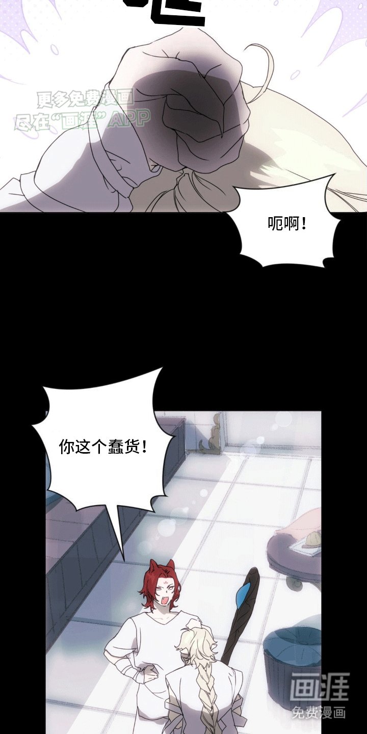 第11章：他们的曾经