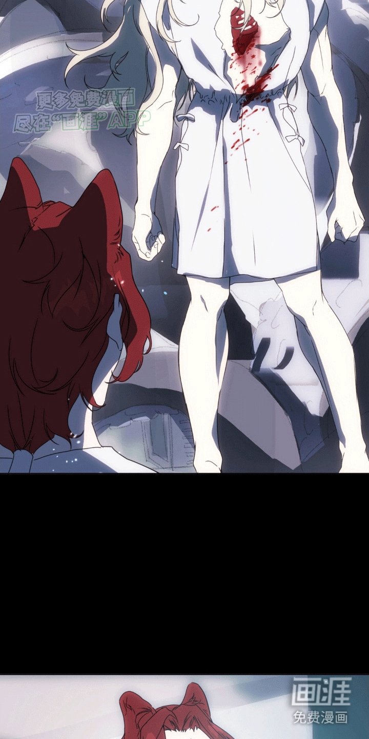 第11章：他们的曾经