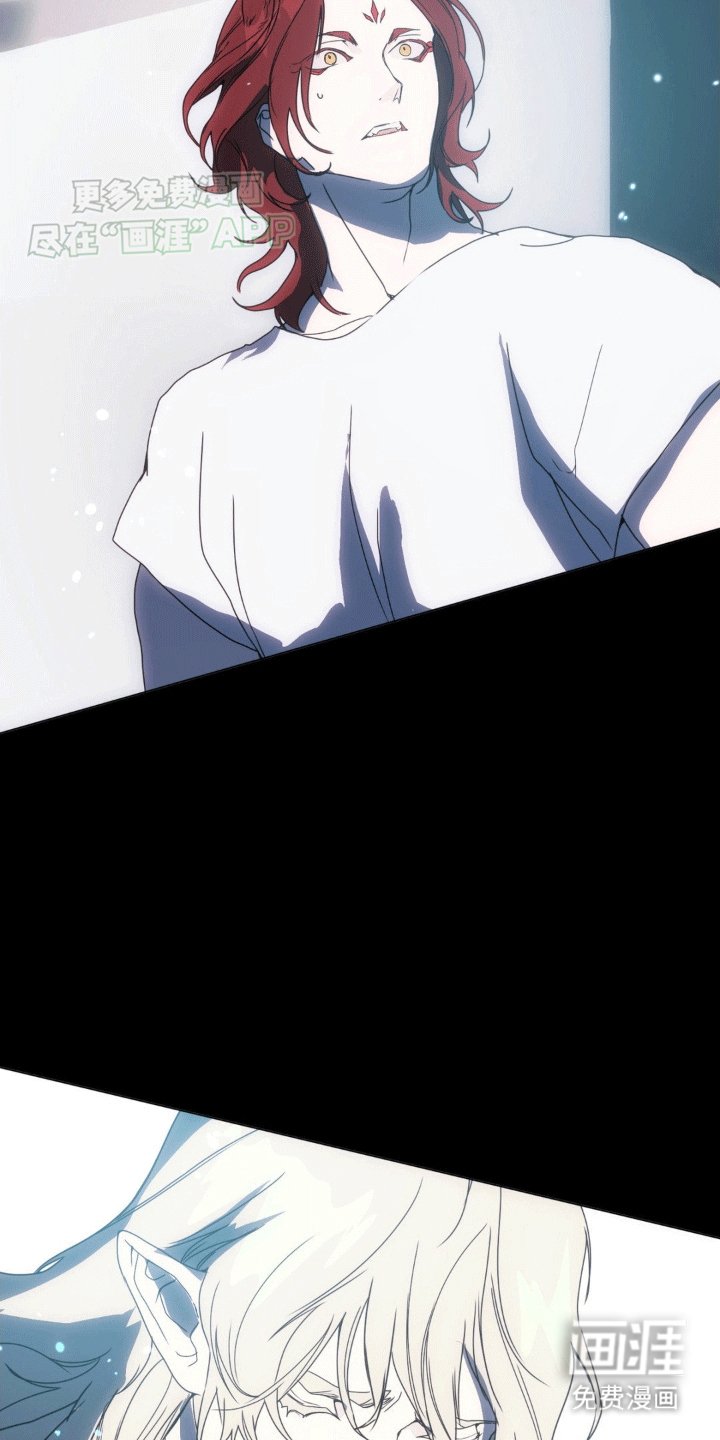 第11章：他们的曾经