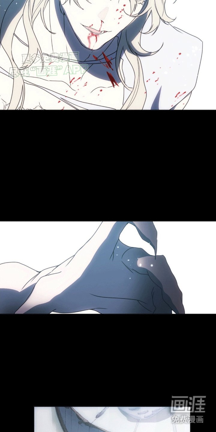 第11章：他们的曾经
