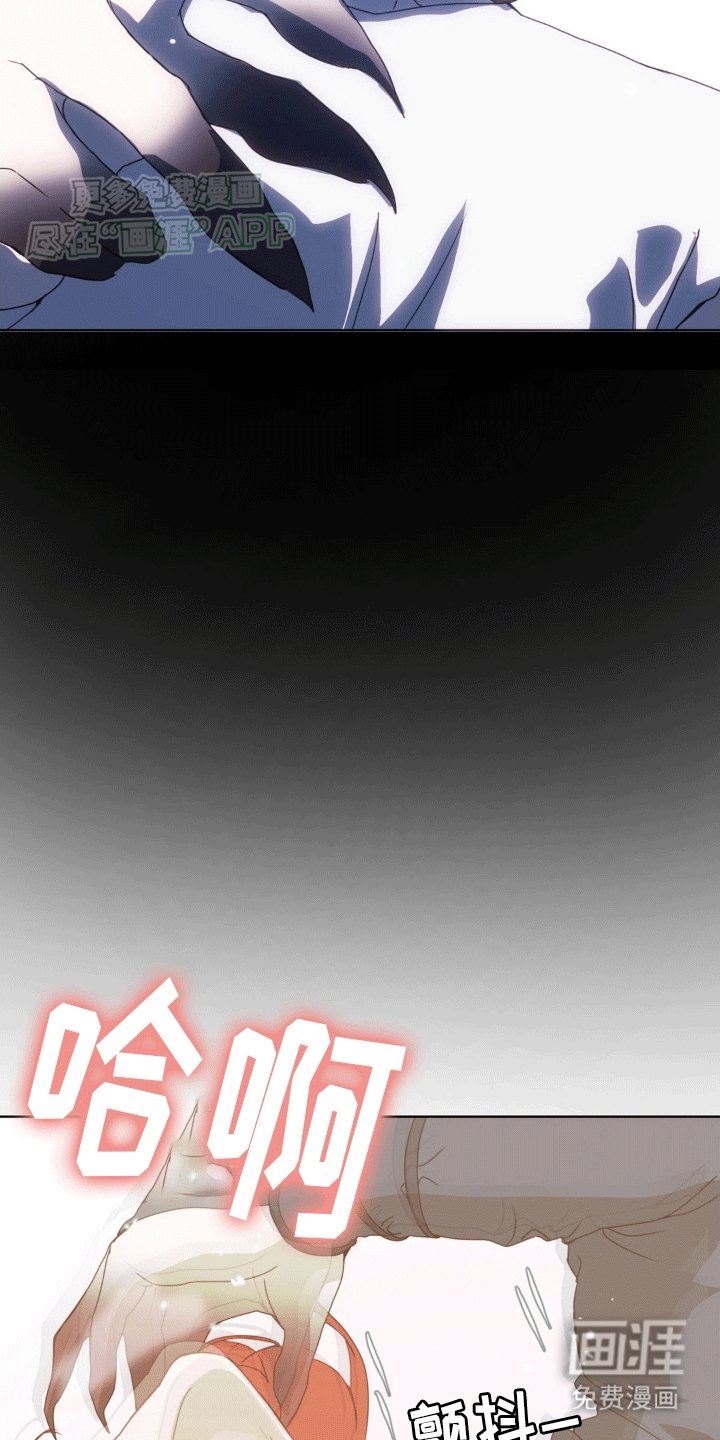 第11章：他们的曾经