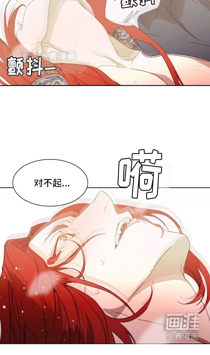 第11章：他们的曾经