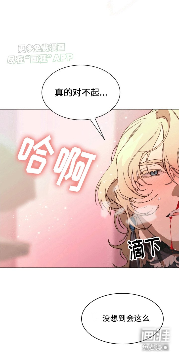 第11章：他们的曾经