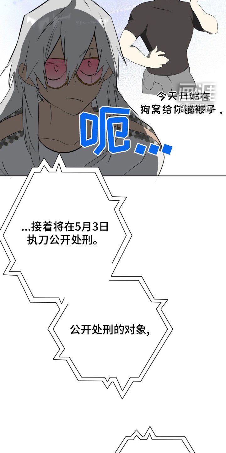 第20章：跟傻子一样
