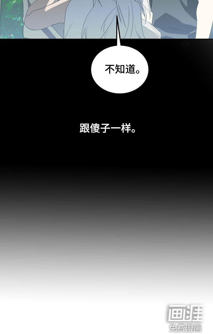 第20章：跟傻子一样