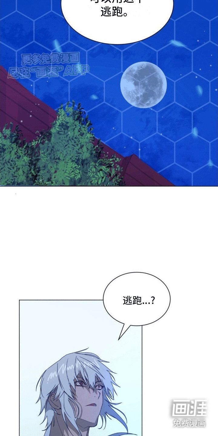第5章：逃跑的时机