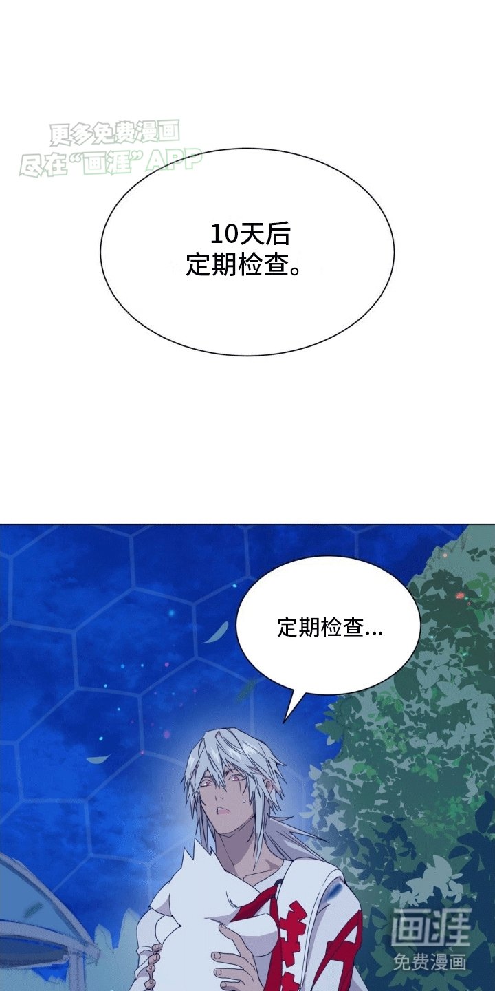 第5章：逃跑的时机