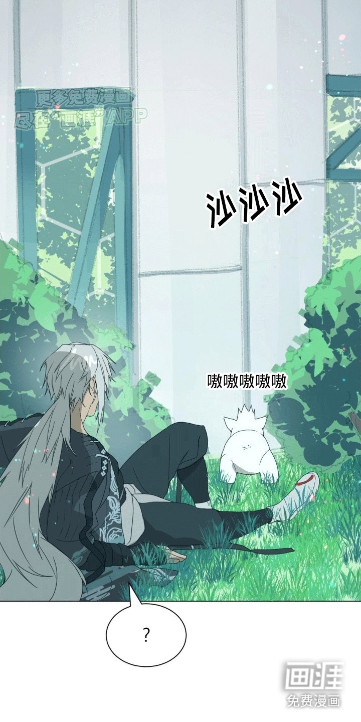 第5章：逃跑的时机