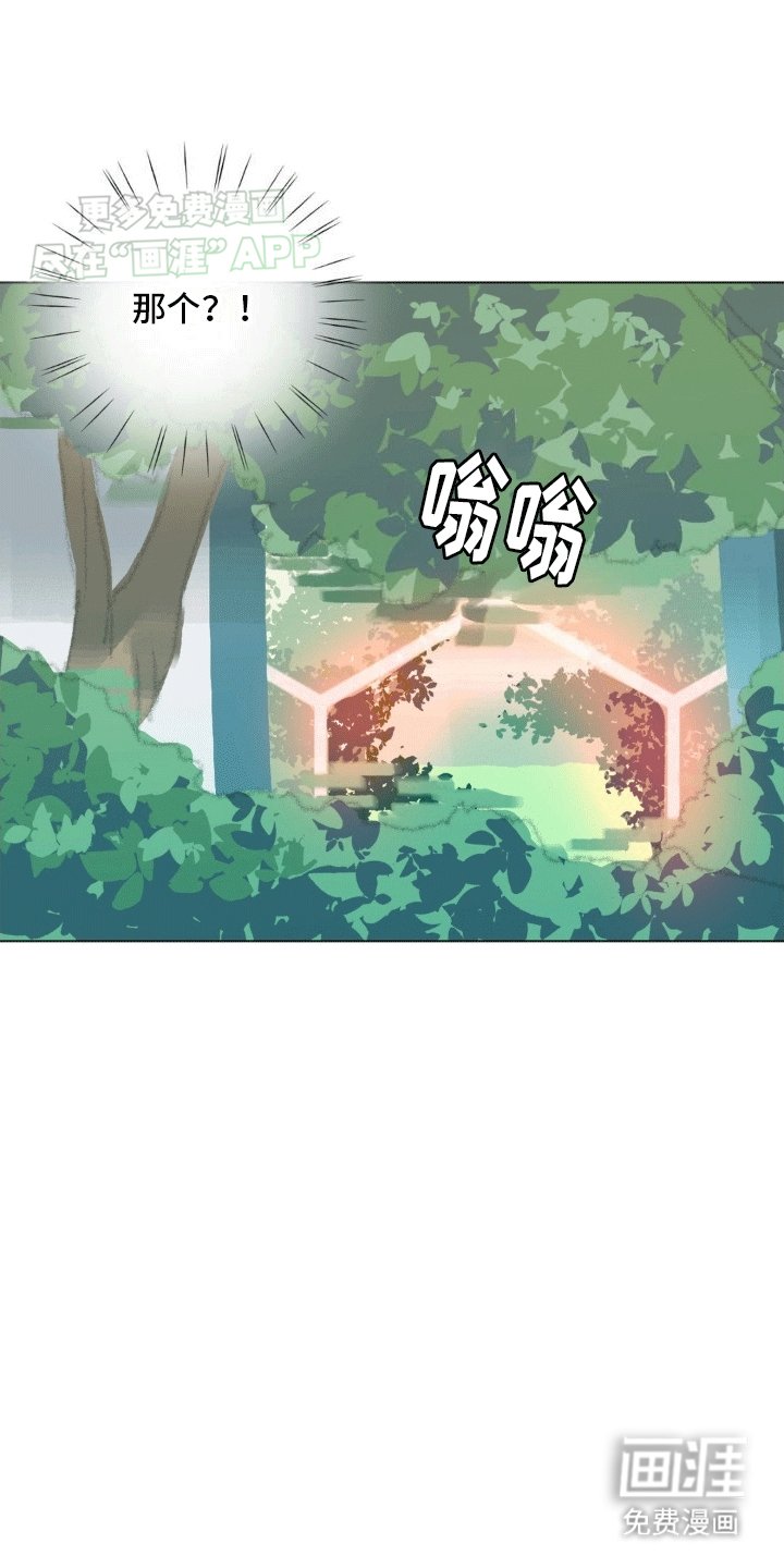 第6章：入侵者