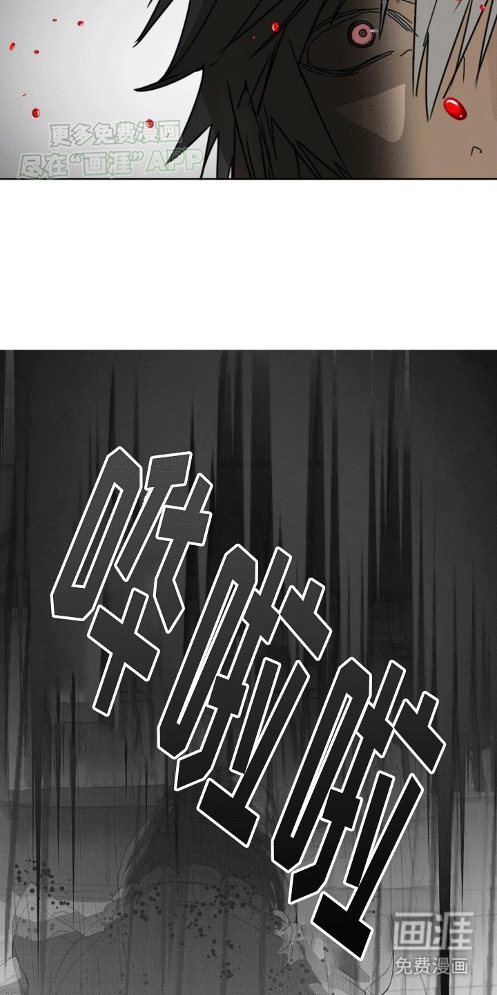 第6章：入侵者