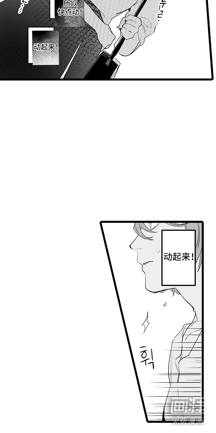 第12章：动起来