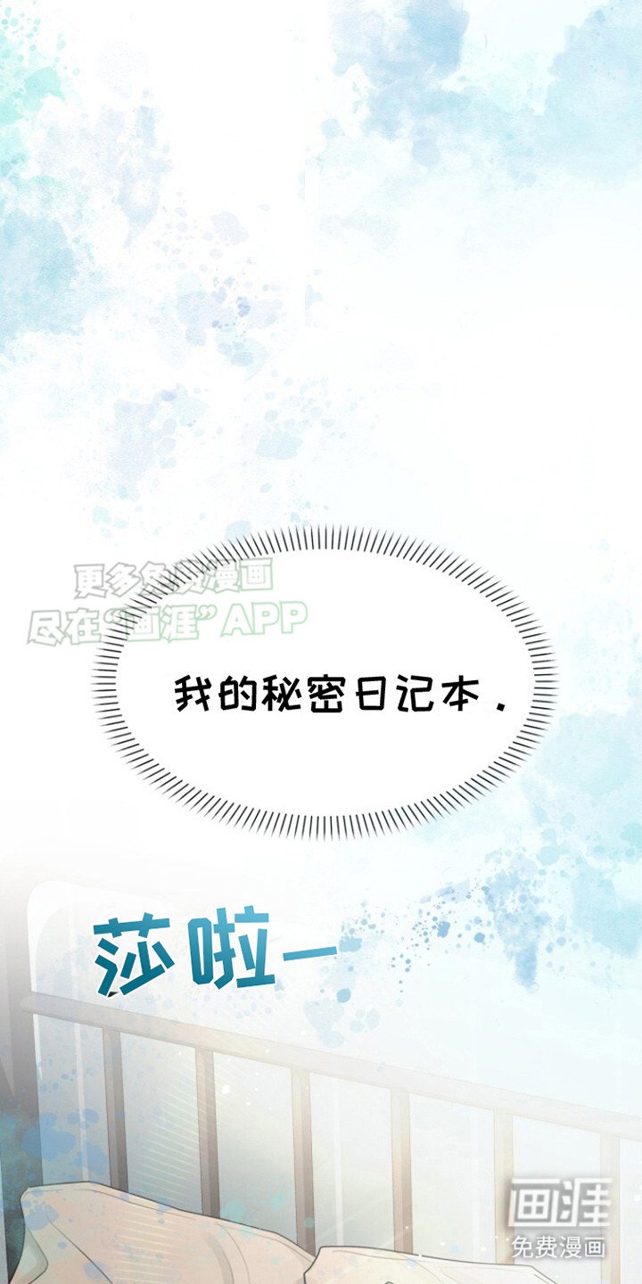 第12章：秘密日记本