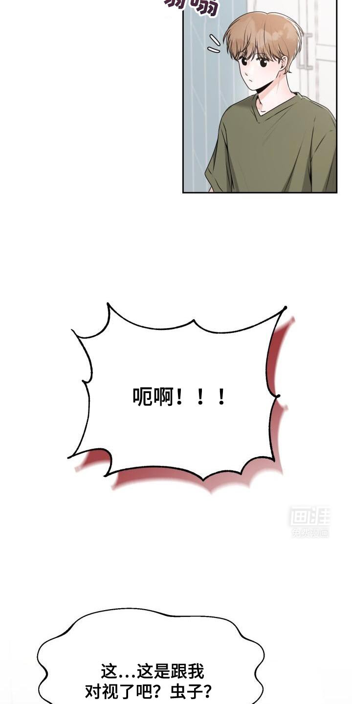 第50章：没什么好看的