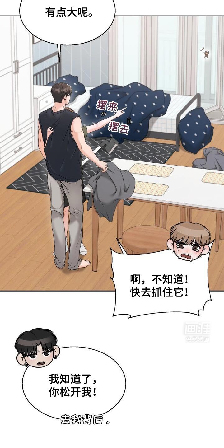 第50章：没什么好看的