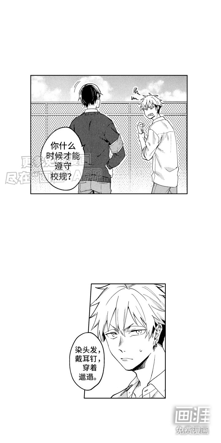 第6章：烦死了